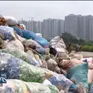 Đổ bỏ hàng hóa không rõ nguồn gốc tại Việt Nam là tín hiệu tốt trong cuộc chiến chống hàng giả