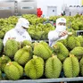 Sức hút của nông sản Việt