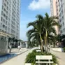 Đà Nẵng nhận đăng ký thuê nhà ở xã hội