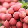 Thị trường nội địa "tiếp sức" cho nông sản Việt
