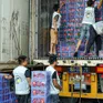 Vải thiều được mùa, nâng tầm xuất khẩu