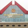 Thiết lập cơ chế thông quan khẩn cấp với một số mặt hàng trọng điểm