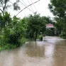 Đi giúp con gái chống lũ, người đàn ông bị điện giật tử vong