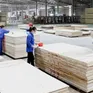 Thách thức xuất khẩu 18 tỷ USD xuất khẩu của ngành gỗ