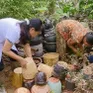 Cảnh báo nguy cơ dịch bệnh bùng phát sau mưa lũ, ngập úng