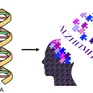 Chạy bộ giúp kích hoạt gene chống lại bệnh Alzheimer