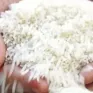 Gạo Ấn Độ chạm đáy thấp nhất trong 2 năm