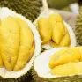 Sầu riêng đông lạnh Việt "rộng đường" vào Trung Quốc