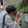 Số ca mắc tay chân miệng và sốt xuất huyết có dấu hiệu tăng tại Hà Nội
