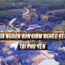 Phóng sự: Hiệu quả nguồn vốn giảm nghèo bền vững tại Phú Yên
