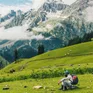 Mở cửa trở lại các điểm du lịch tại Kashmir