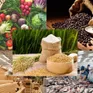 Thị trường nông sản chìm trong “sắc đỏ”: Xuất khẩu Việt Nam chịu áp lực