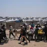 Israel bị cáo buộc tấn công người dân nhận cứu trợ ở Gaza