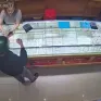 Kẻ cướp tiệm vàng ở Lâm Đồng bắt khi vừa xuống máy bay
