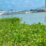 Phát hiện thi thể trẻ sơ sinh trên sông Sài Gòn, TP Hồ Chí Minh