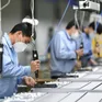 Công chức, viên chức không được thành lập, góp vốn và quản lý doanh nghiệp