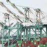 EU chưa thay đổi lập trường về thuế quan với Mỹ