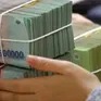 Nông nghiệp hữu cơ, tuần hoàn: Được vay tới 70% giá trị dự án không thế chấp