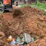 Quảng Ninh: Bắt giữ gần 2,7 tấn nầm lợn đông lạnh không rõ nguồn gốc