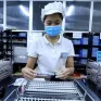 TP Hồ Chí Minh - Điểm sáng thu hút FDI