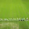 "Gia đình Haha" khoe thành tích mở màn, khán giả hào hứng đi "chữa lành" cùng các ngôi sao