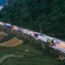 Xuất khẩu sang Trung Quốc giảm mạnh: Lối đi nào cho rau quả Việt?