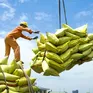 Việt Nam thu về 2,34 tỷ USD nhờ xuất khẩu gạo
