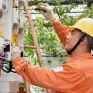 EVN yêu cầu rà soát các trường hợp có hóa đơn điện tăng cao bất thường