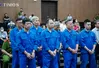 Chủ tịch Công ty Thái Dương: 'Không nhờ vả, chi vật chất để xin giấy phép'
